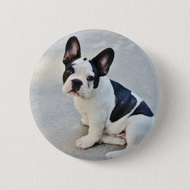 sitting french bulldog pinback button (Front)