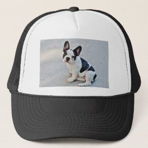 sitting french bulldog trucker hat