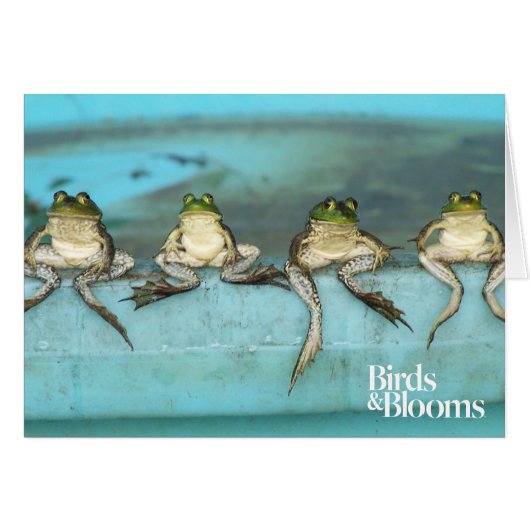 Sitting Frogs Cards (Front Horizontal)