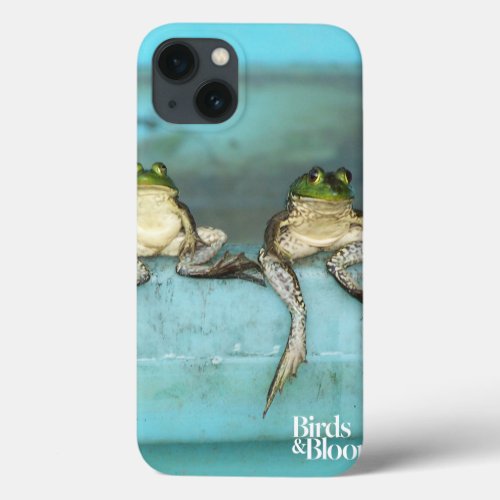 Sitting Frogs iPhone 13 Case