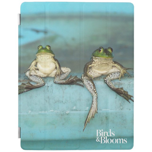 Sitting Frogs iPad Smart Cover (Front)