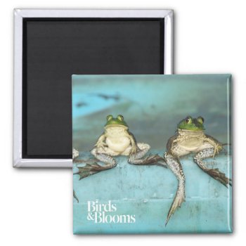 Sitting Frogs Magnet by birdsandblooms at Zazzle