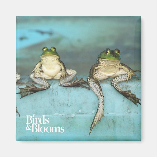 Sitting Frogs Magnet (Front)