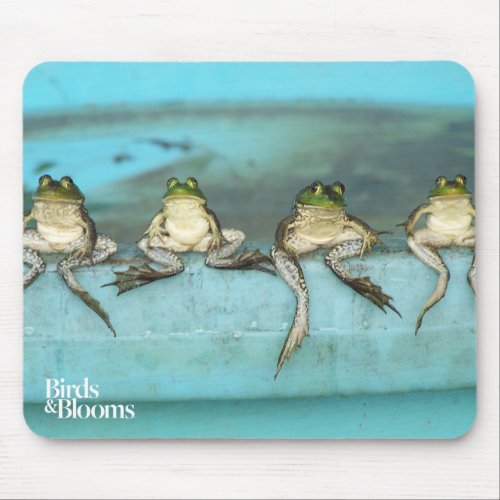Sitting Frogs Mouse Pad