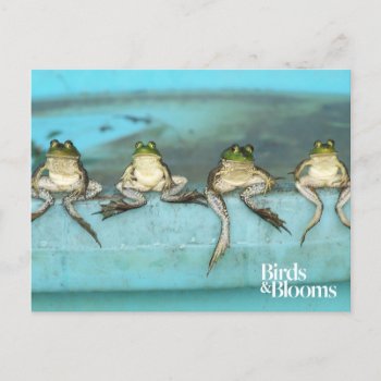 Sitting Frogs Postcard by birdsandblooms at Zazzle