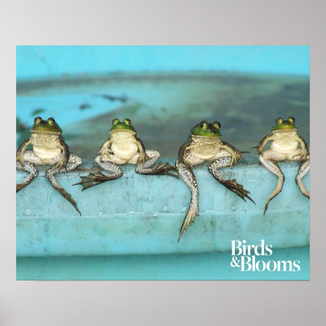 Sitting Frogs Poster (Front)