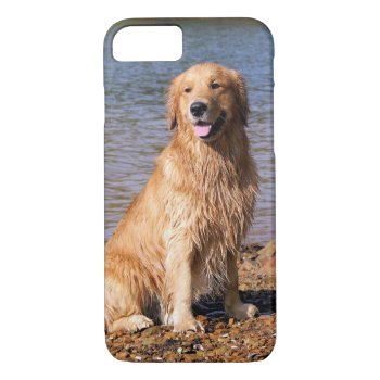 Sitting Golden Retriever Iphone 7 Case by artinphotography at Zazzle