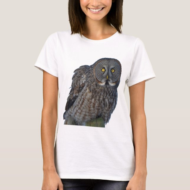 Sitting Great Gray Owl Raptor Wildlife Photo T-Shirt (Front)