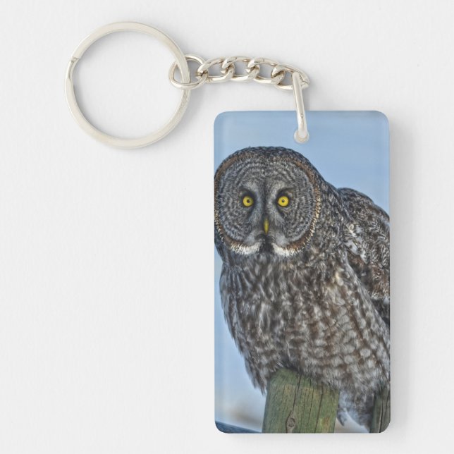 Sitting Great Gray Owl Wildlife Photo Portrait I Keychain (Front)