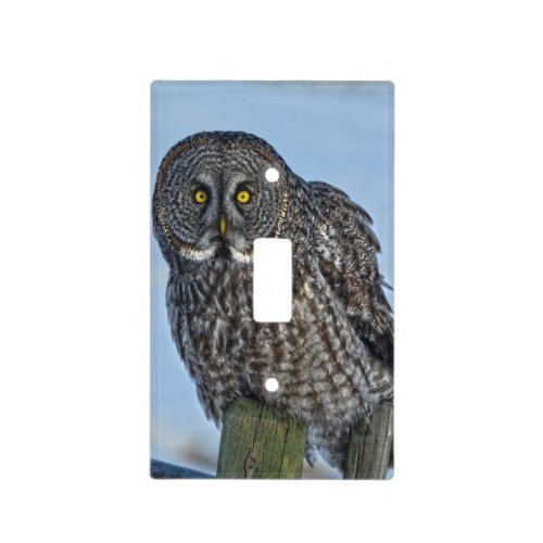 Sitting Great Gray Owl Wildlife Photo Portrait I Light Switch Cover