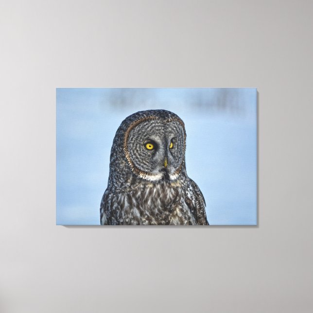 Sitting Great Gray Owl Wildlife Photo Portrait II Canvas Print (Front)