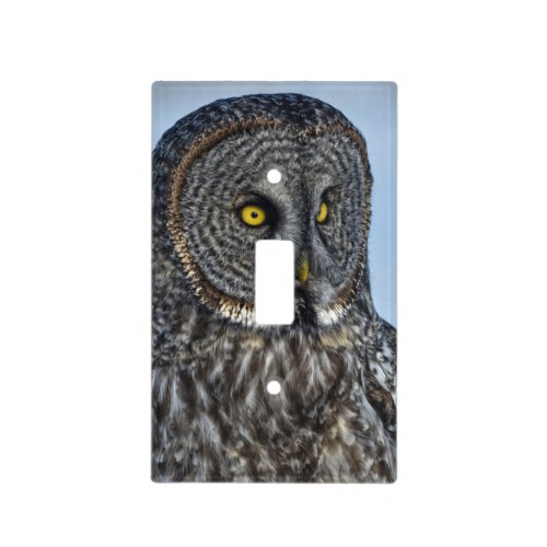 Sitting Great Gray Owl Wildlife Photo Portrait II Light Switch Cover