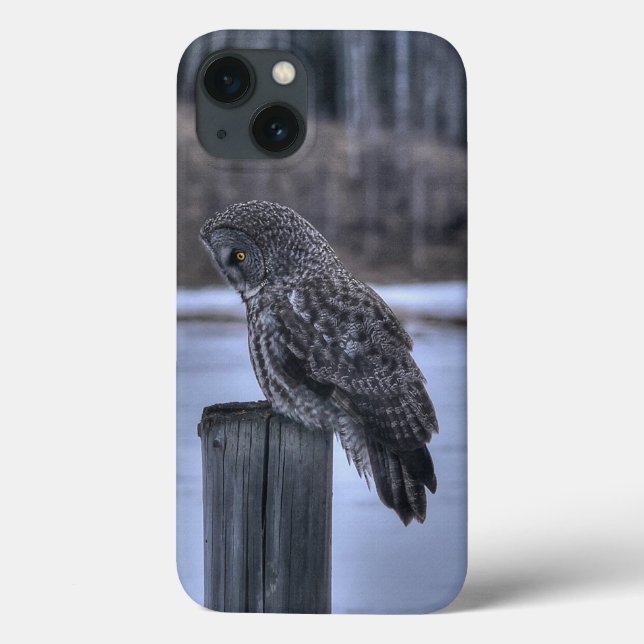 Sitting Great Gray Owl Wildlife Photo Portrait III Case-Mate iPhone Case (Back)