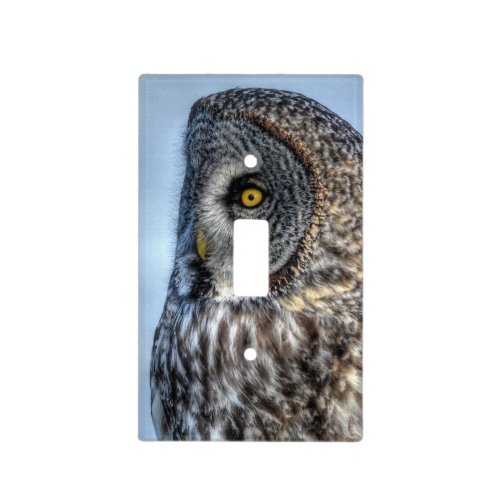 Sitting Great Gray Owl Wildlife Photo Portrait III Light Switch Cover
