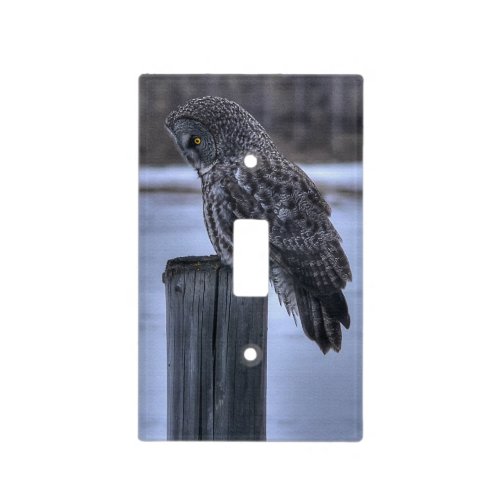 Sitting Great Gray Owl Wildlife Photo Portrait III Light Switch Cover