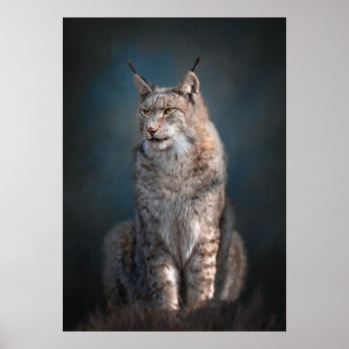 Sitting iberian lynx poster