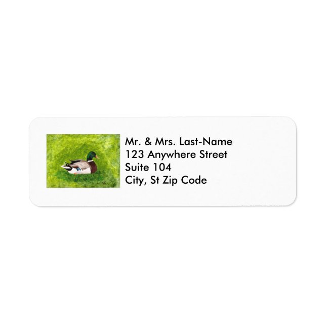Sitting Mallard Return Address Labels (Front)
