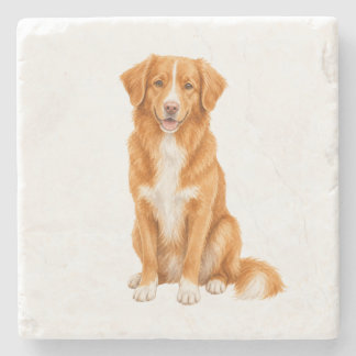 Sitting Nova Scotia Duck Tolling Retriever Natural Stone Coaster