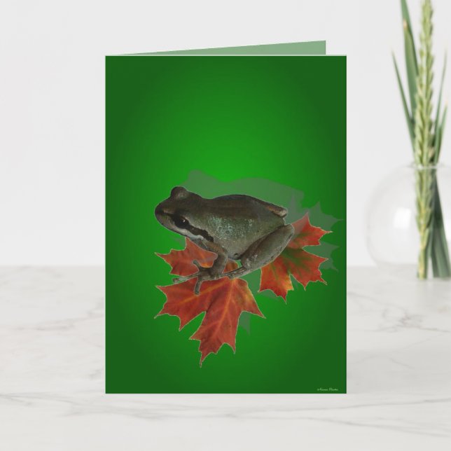 Sitting On Leaves Card (Front)