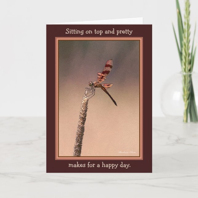Sitting on top and pretty--makes for a happy day. card (Front)