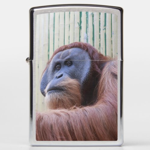 Sitting Orang Utan Zippo Lighter