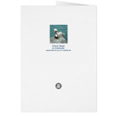 Sitting Pelican Cards (Back)
