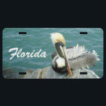 Sitting Pelican Custom License Plate<br><div class="desc">After a successful lunch dive into the water near the ocean end of the ship's channel,  a pelican rests on a jetty rock as the spring sea breeze helps to dry his feathers.  At Port Canaveral,  Florida.</div>