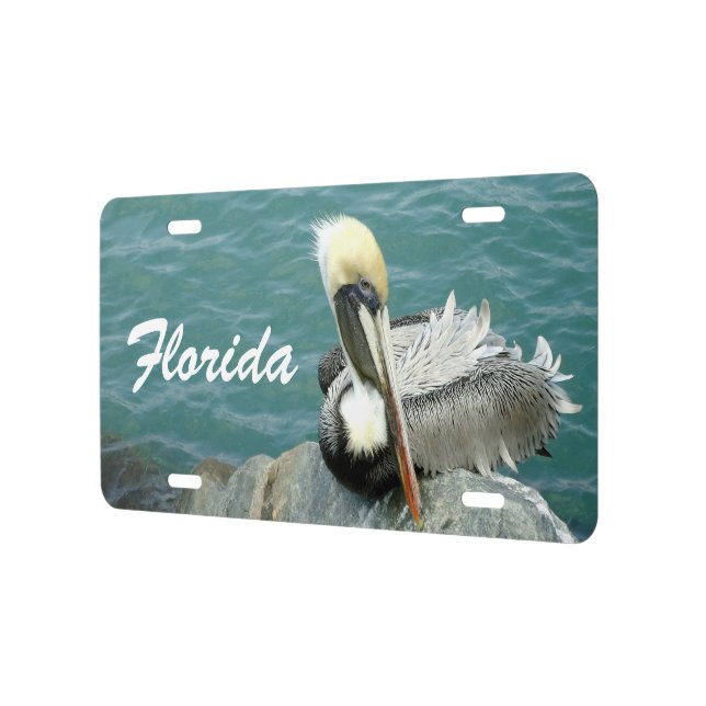 License Plate Roses And Feathers Sitting Pelican Custom License Plate Zazzle