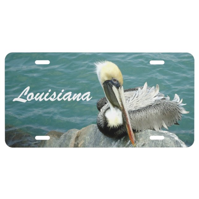 Sitting Pelican Louisiana Custom License Plate (Front)
