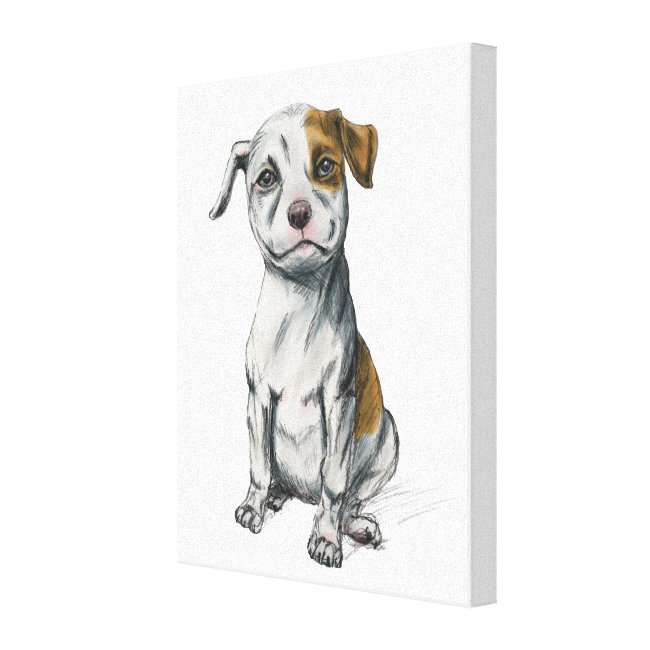 Sitting Pit Bull Puppy Drawing