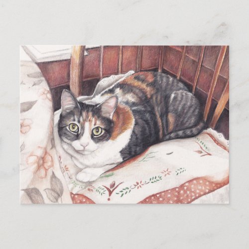 Sitting Pretty Calico Cat Art Postcard