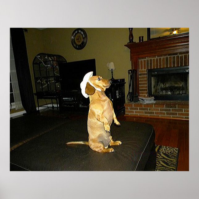 Sitting Pretty Dachshund Poster (Front)