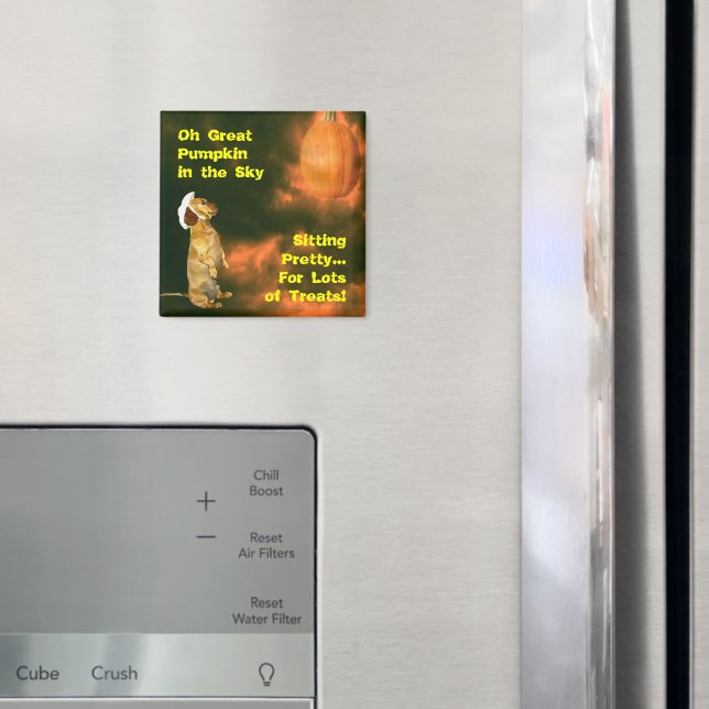 Sitting Pretty For Lots of Treats Magnet (In Situ (Fridge))