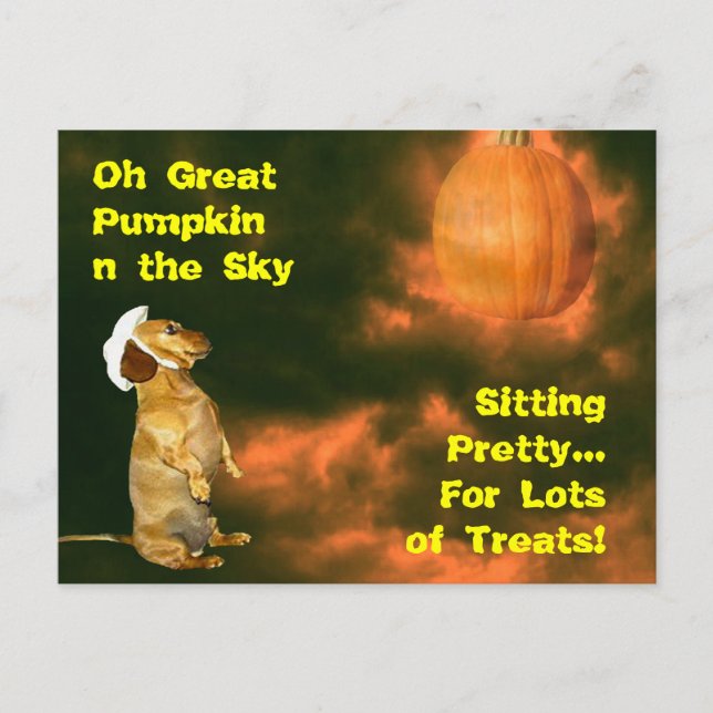 Sitting Pretty For Lots of Treats Postcard (Front)