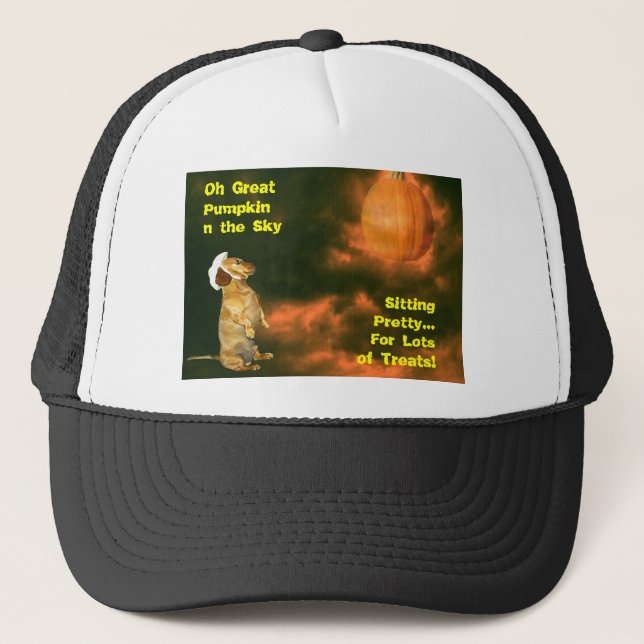 Sitting Pretty For Lots of Treats Trucker Hat (Front)