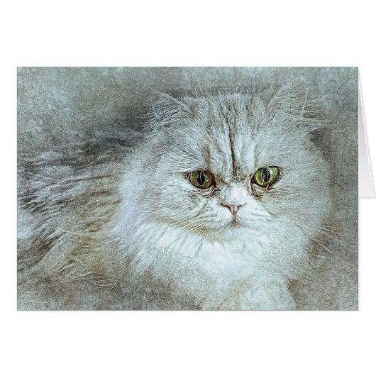 Sitting Pretty Kitty | Abstract | Watercolor Cards (Front Horizontal)