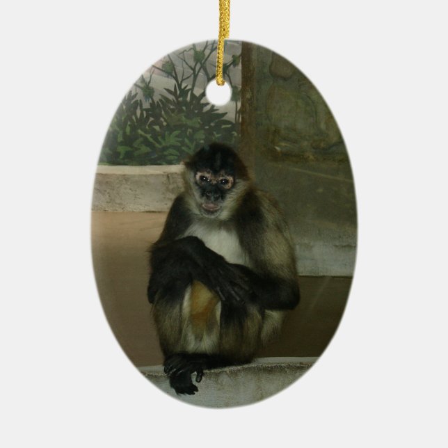 Sitting Pretty Monkey Ceramic Ornament (Front)