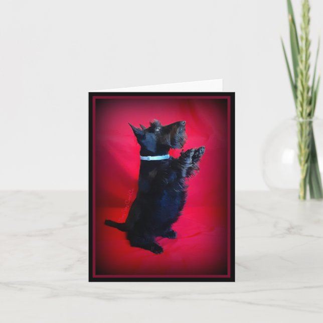 Sitting Pretty Note Card (Front)