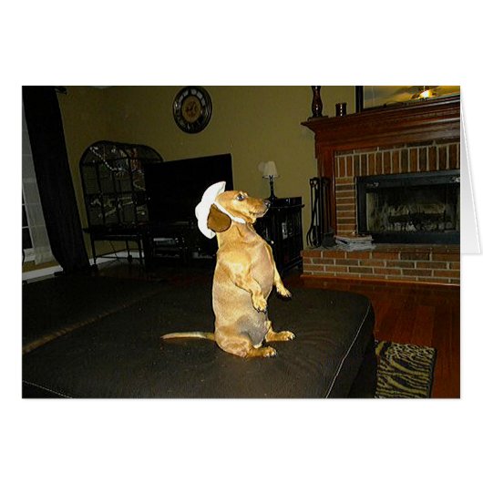Sitting Pretty or Watching TV Dachshund Cards (Front Horizontal)