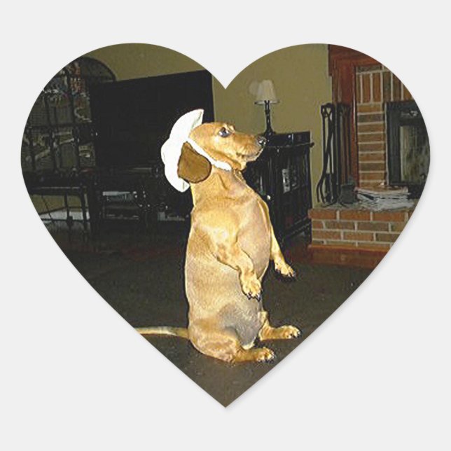 Sitting Pretty or Watching TV Dachshund Heart Sticker (Front)