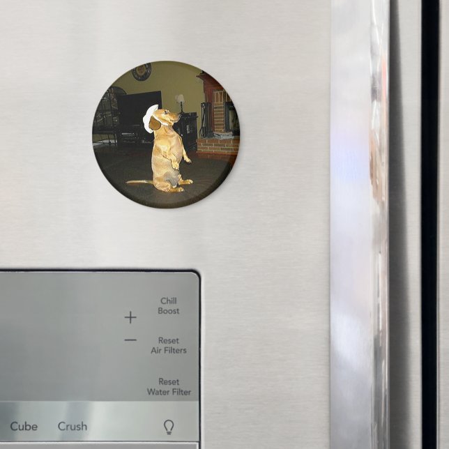 Sitting Pretty or Watching TV Dachshund Magnet (In Situ (Fridge))