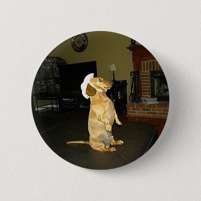 Sitting Pretty or Watching TV Dachshund Pinback Button (Front)