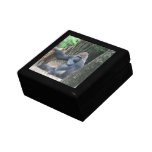 Sitting Silverback Gorilla  Gift Box