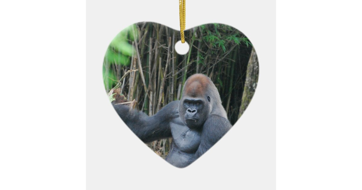 Gorilla Gift Box, Zazzle