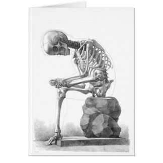Sitting Skeleton Cards