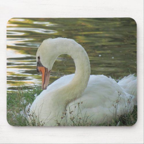 Sitting Swan Mousepad