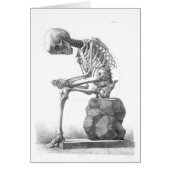 Sitting vintage skeleton thinking (Front)