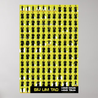 Siu Lim Tao Yellow Poster