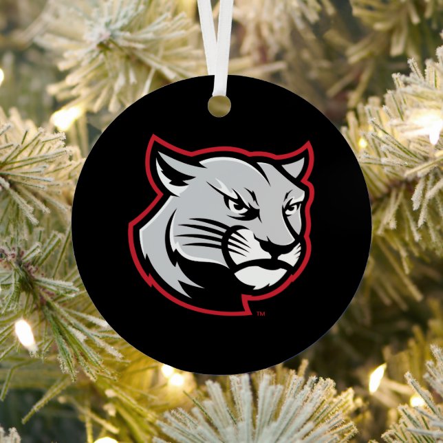 SIUE Holiday Metal Ornament (Insitu)