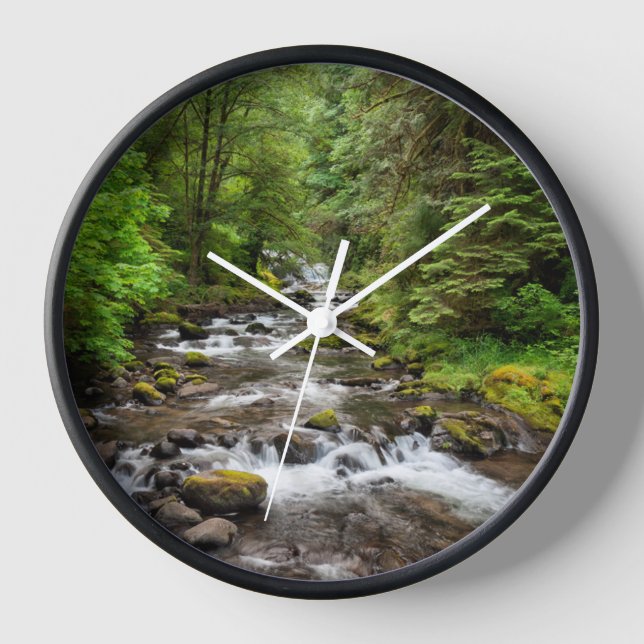 Siuslaw National Forest | Sweet Creek Clock (Front)